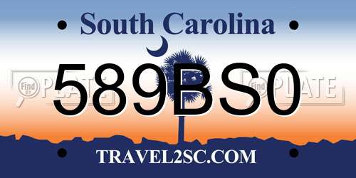 589BS0 South Carolina License Plate