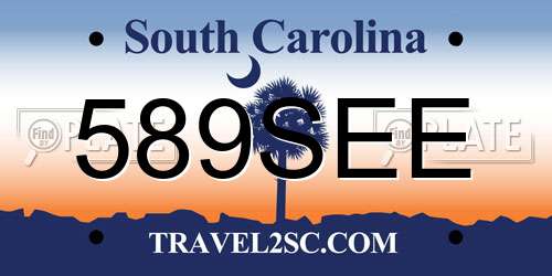 589SEE South Carolina License Plate