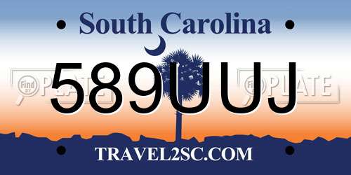 589UUJ South Carolina License Plate