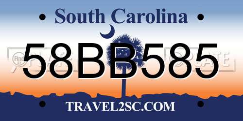 58BB585 South Carolina License Plate