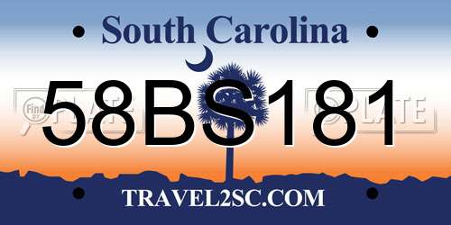 58BS181 South Carolina License Plate