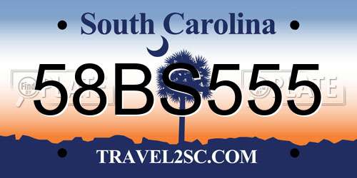 58BS555 South Carolina License Plate