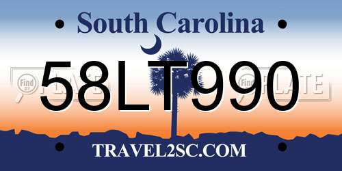 58LT990 South Carolina License Plate