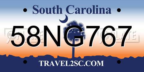 58NG767 South Carolina License Plate