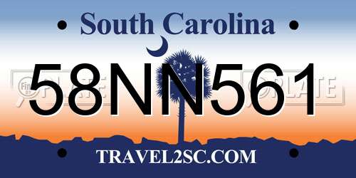 58NN561 South Carolina License Plate