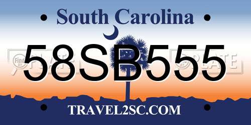 58SB555 South Carolina License Plate
