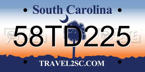 58TD225 South Carolina License Plate