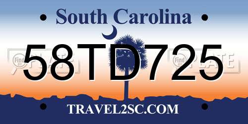58TD725 South Carolina License Plate