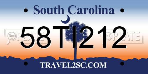 58TI212 South Carolina License Plate