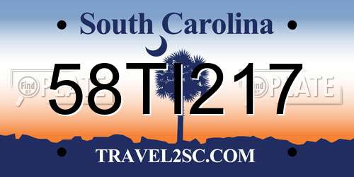 58TI217 South Carolina License Plate