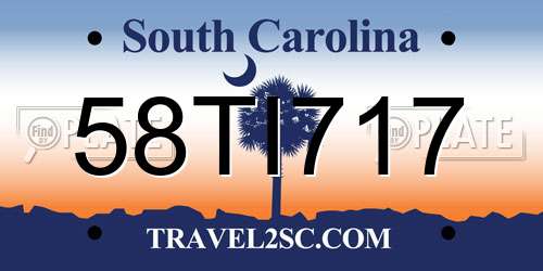 58TI717 South Carolina License Plate