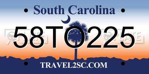 58TO225 South Carolina License Plate