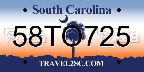 58TO725 South Carolina License Plate