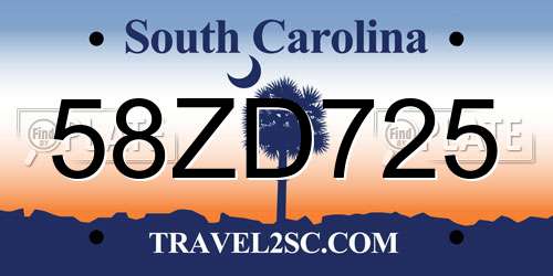 58ZD725 South Carolina License Plate