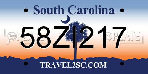58ZI217 South Carolina License Plate