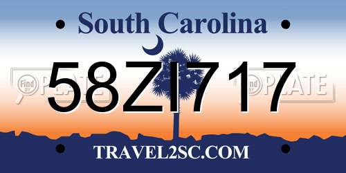 58ZI717 South Carolina License Plate