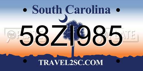 58ZI985 South Carolina License Plate