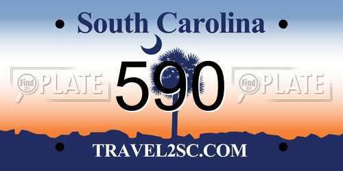 590 South Carolina License Plate