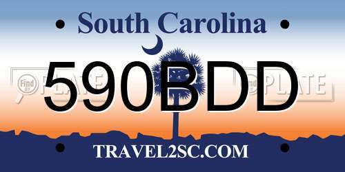 590BDD South Carolina License Plate