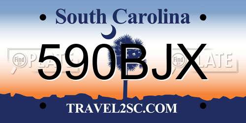 590BJX South Carolina License Plate