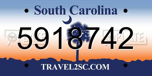 5918742 South Carolina License Plate