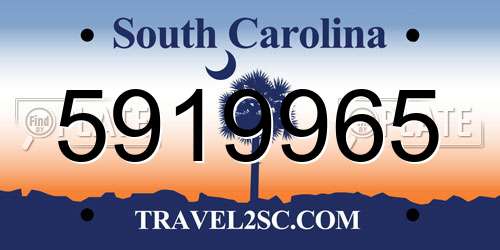 5919965 South Carolina License Plate