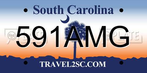 591AMG South Carolina License Plate