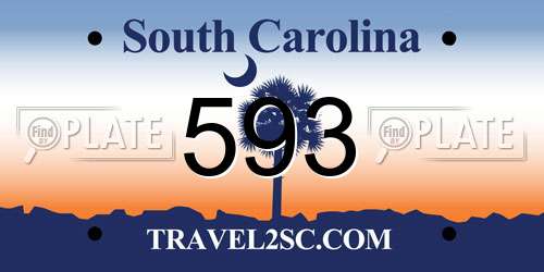 593 South Carolina License Plate