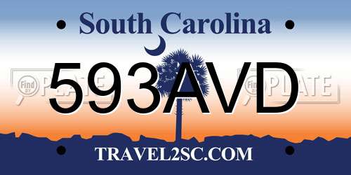 593AVD South Carolina License Plate