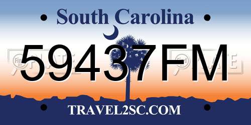 59437FM South Carolina License Plate