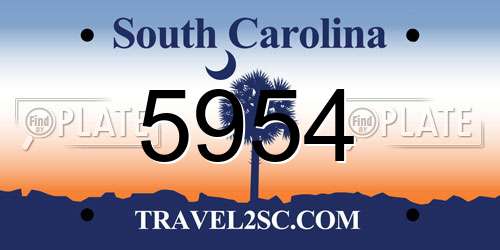 5954 South Carolina License Plate