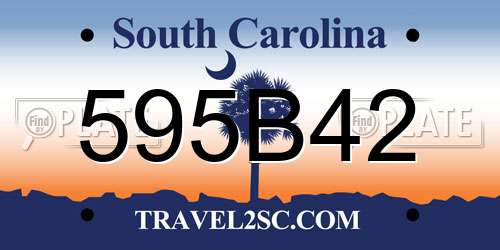 595B42 South Carolina License Plate