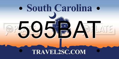 595BAT South Carolina License Plate