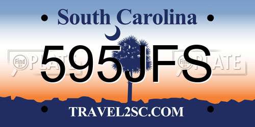 595JFS South Carolina License Plate