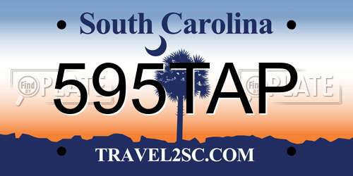 595TAP South Carolina License Plate