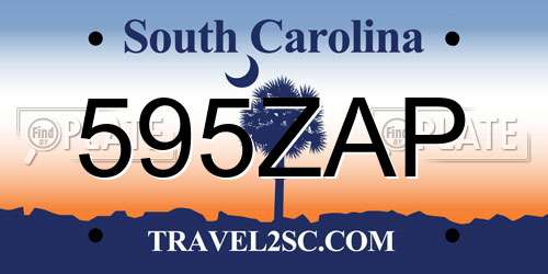 595ZAP South Carolina License Plate