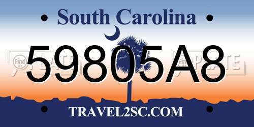 59805A8 South Carolina License Plate