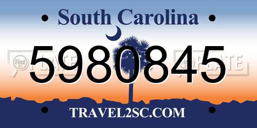 5980845 South Carolina License Plate