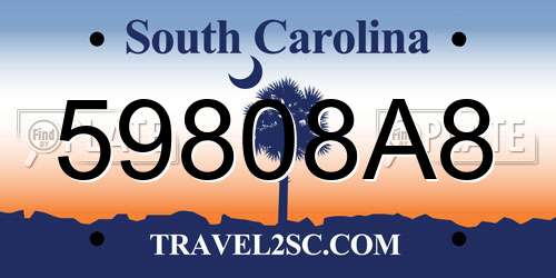 59808A8 South Carolina License Plate