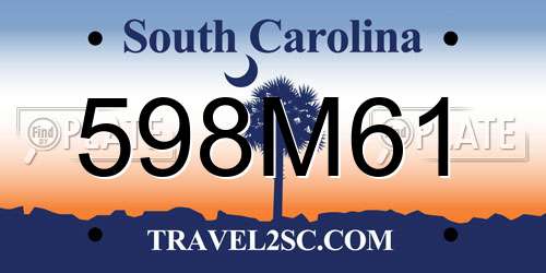 598M61 South Carolina License Plate