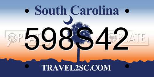 598S42 South Carolina License Plate