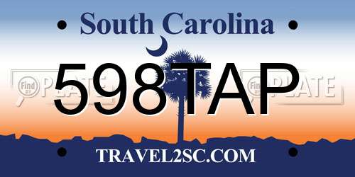 598TAP South Carolina License Plate