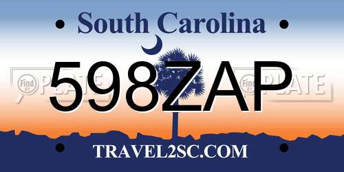 598ZAP South Carolina License Plate