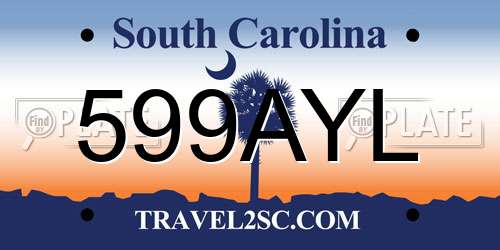 599AYL South Carolina License Plate