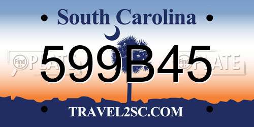 599B45 South Carolina License Plate