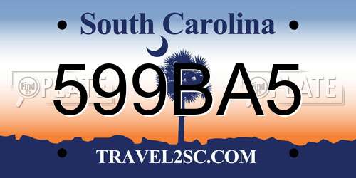 599BA5 South Carolina License Plate