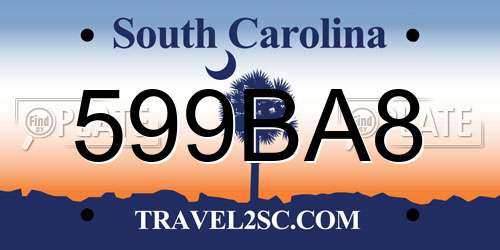 599BA8 South Carolina License Plate