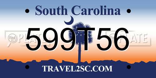 599T56 South Carolina License Plate