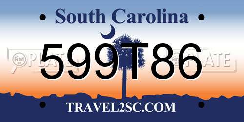 599T86 South Carolina License Plate