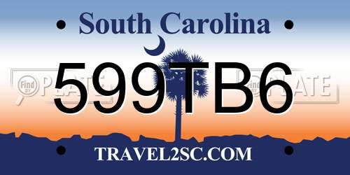 599TB6 South Carolina License Plate